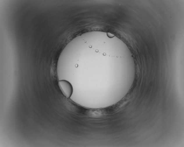 X0000112070181200908040958