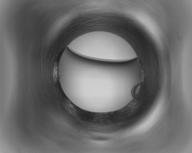 X0000112070190200908040958