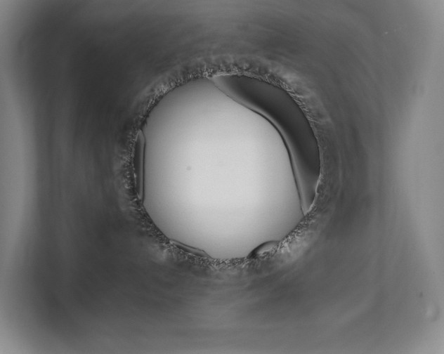 X0000112070192200908040958