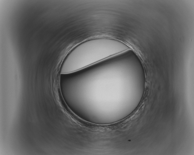 X0000112070193200908040957