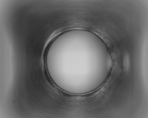 X0000112070198200908040957