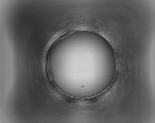 X0000112070199200908040957