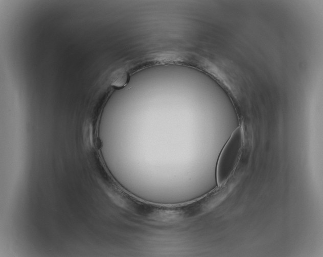 X0000112070205200908040957