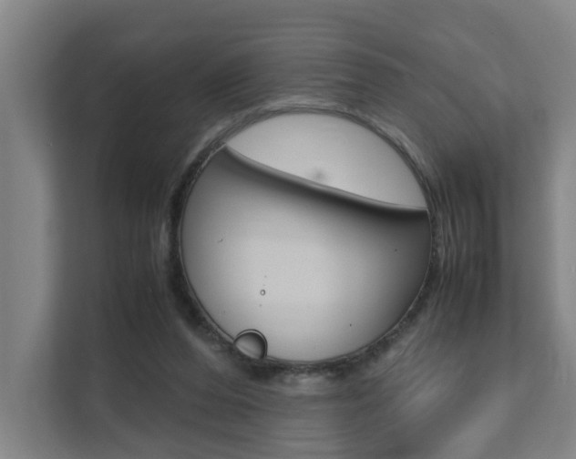 X0000112070208200908040957