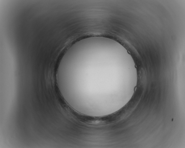 X0000112070212200908040957