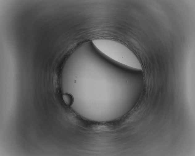 X0000112070224200908040957
