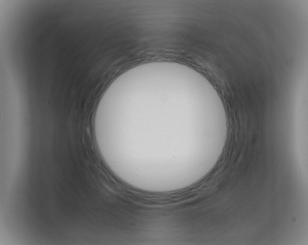 X0000112070225200908040957