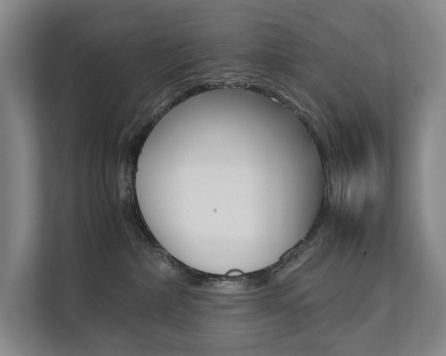 X0000112070236200908040957