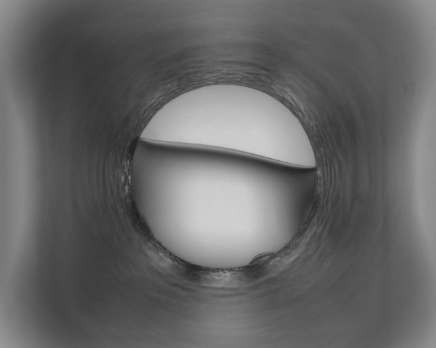 X0000112070237200908040957