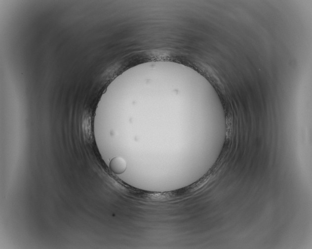 X0000112070238200908040957