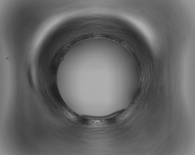 X0000112070239200908040957
