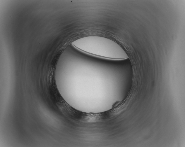 X0000112070240200908040957