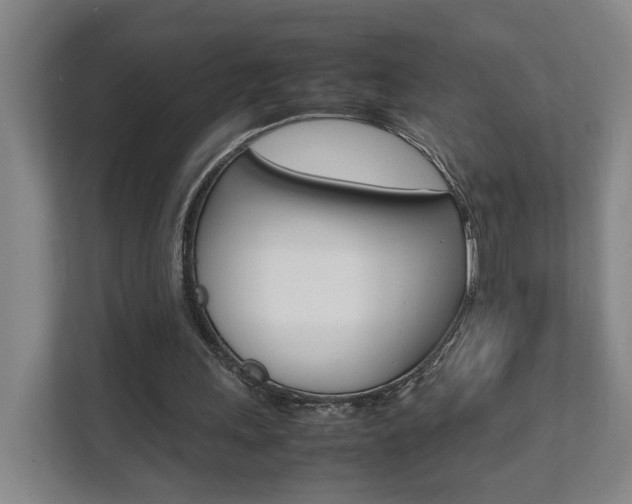 X0000112070243200908040956