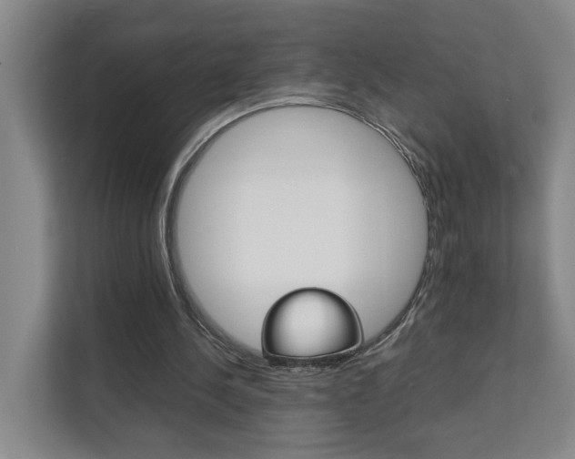 X0000112070244200908040956