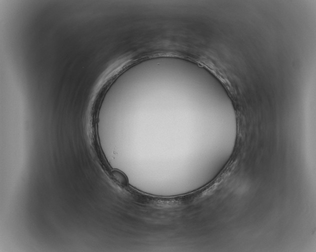 X0000112070245200908040956