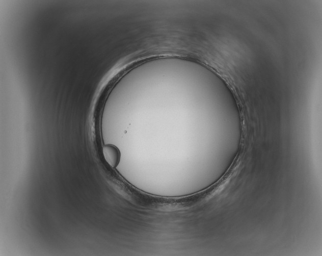 X0000112070246200908040956