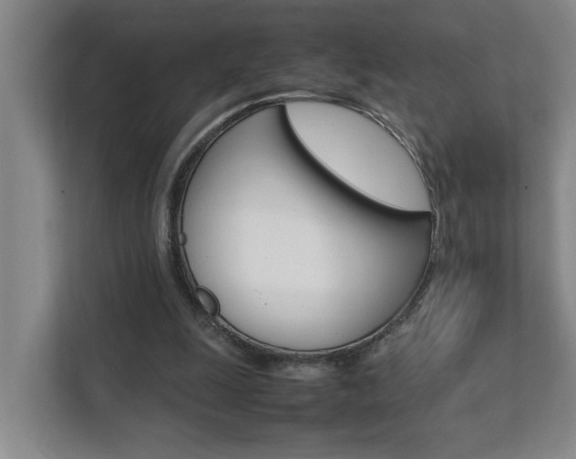 X0000112070247200908040956