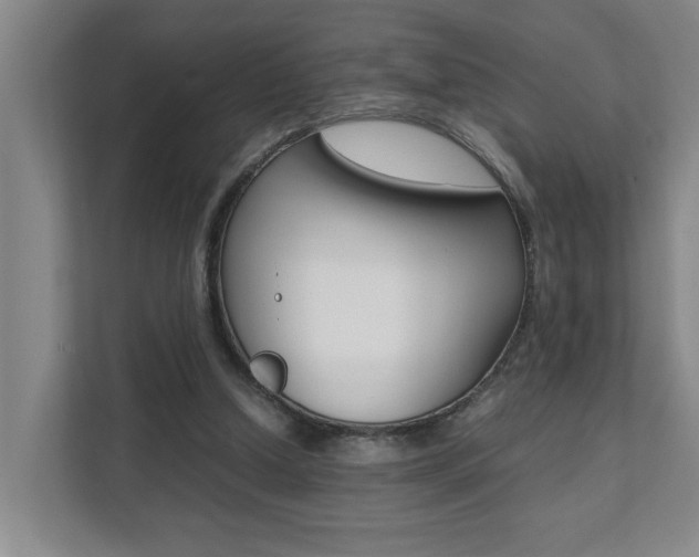 X0000112070250200908040956
