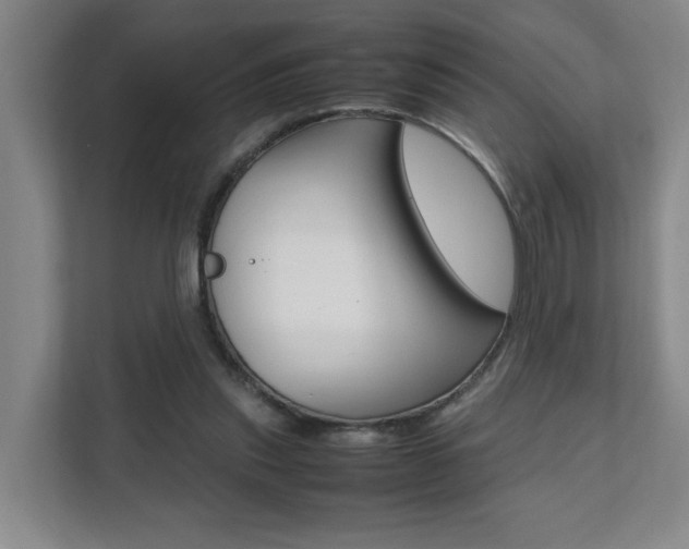 X0000112070253200908040956
