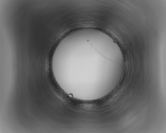 X0000112070255200908040956