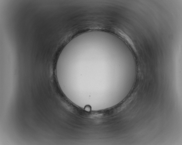 X0000112070257200908040956