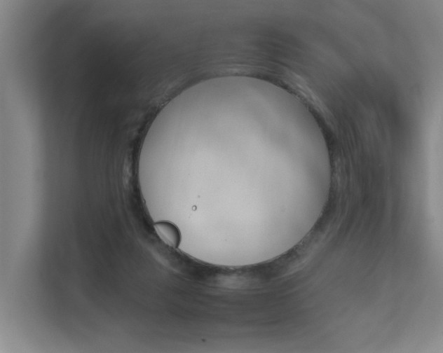 X0000112070259200908040956