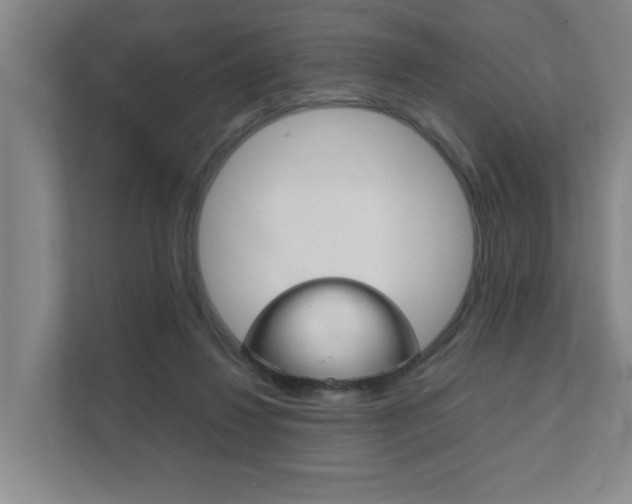 X0000112070260200908040956
