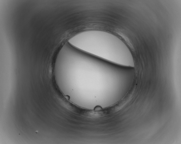 X0000112070261200908040956