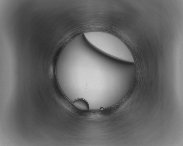 X0000112070262200908040956