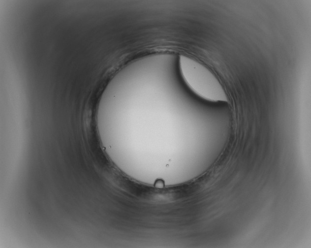 X0000112070263200908040956