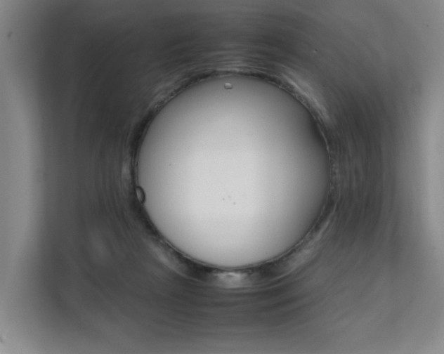 X0000112070265200908040956