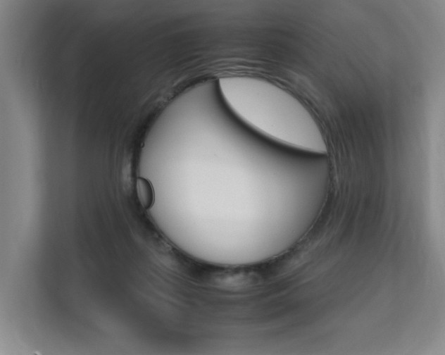 X0000112070267200908040956