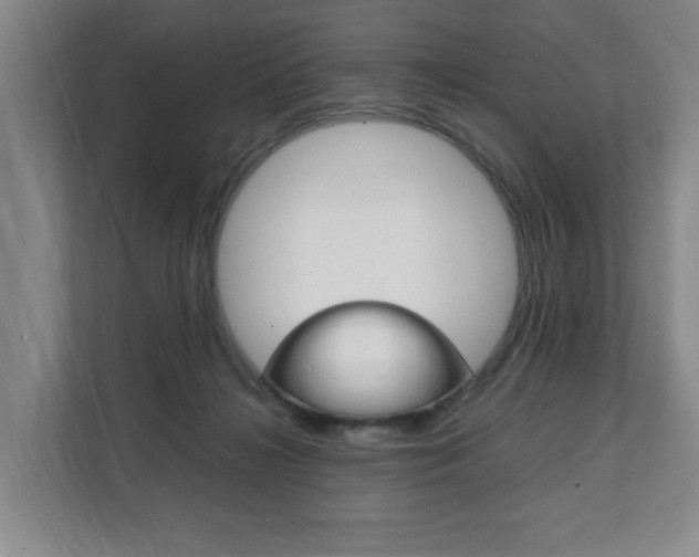 X0000112070268200908040956