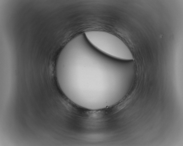 X0000112070273200908040956