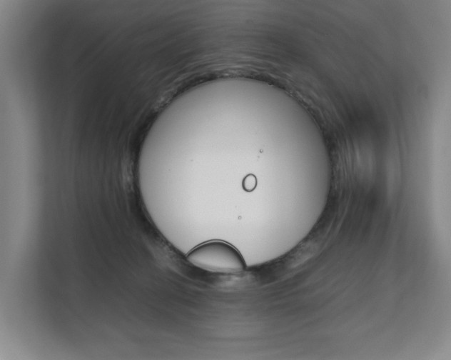 X0000112070274200908040956
