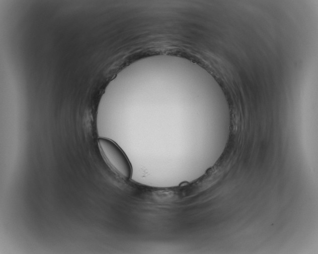 X0000112070279200908040956
