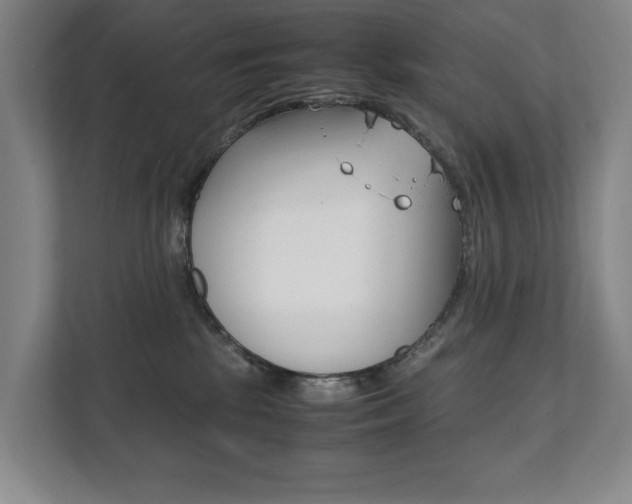 X0000112070281200908040957