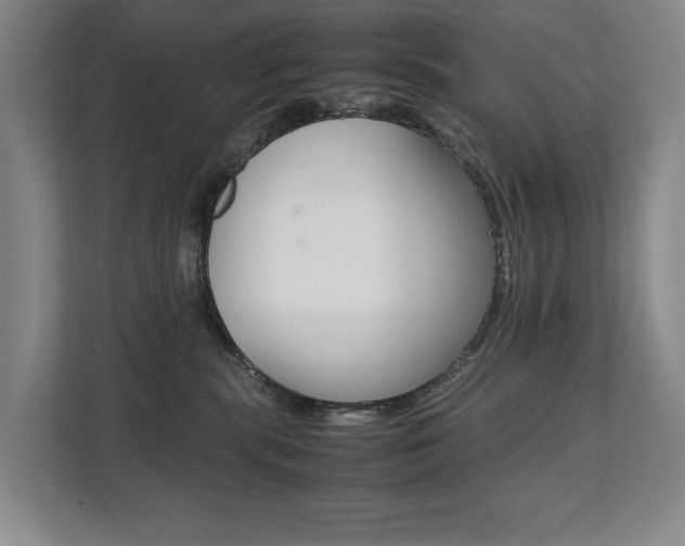 X0000112070283200908040957