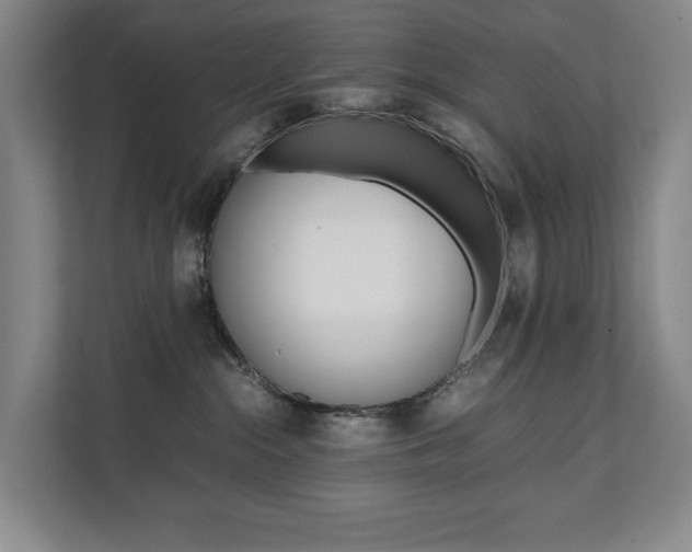X0000112070284200908040957