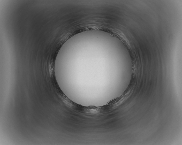 X0000112070285200908040957