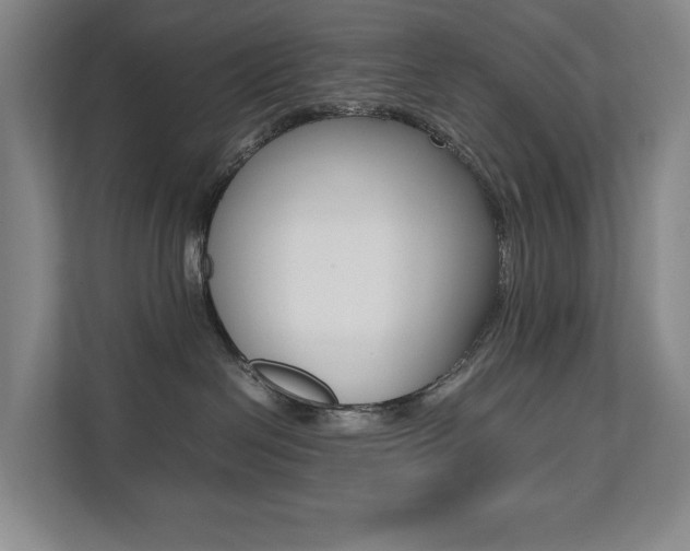 X0000112070286200908040957