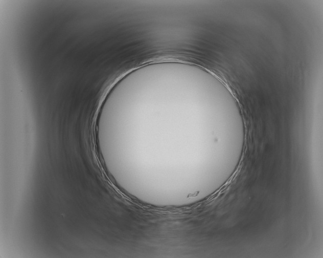 X0000112070289200908040956