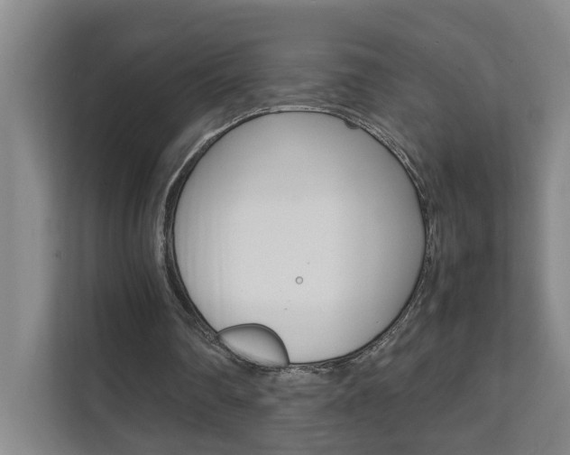 X0000112070290200908040956