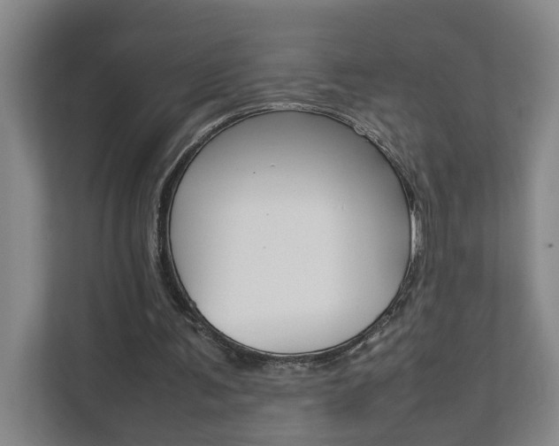 X0000112070291200908040956