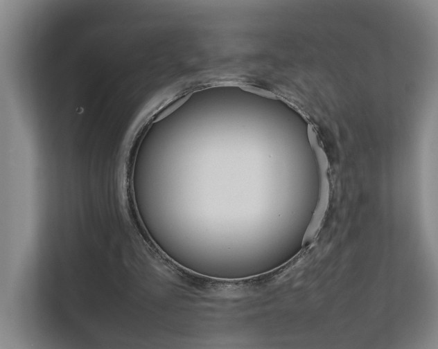 X0000112070293200908040956
