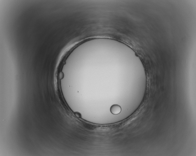 X0000112070294200908040956