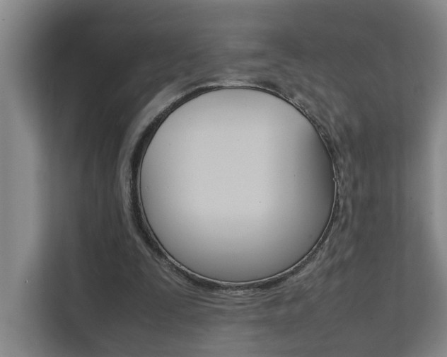 X0000112070295200908040956