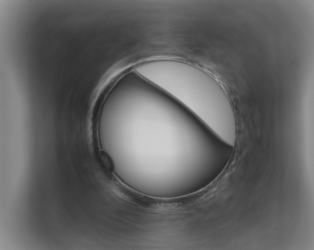 X0000112070296200908040956