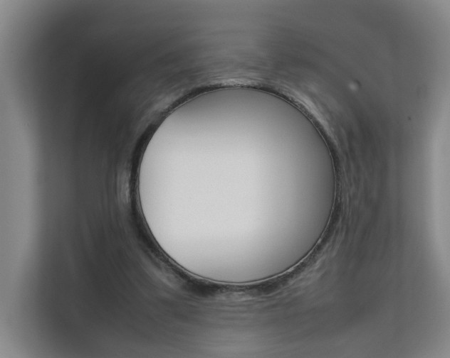 X0000112070299200908040956