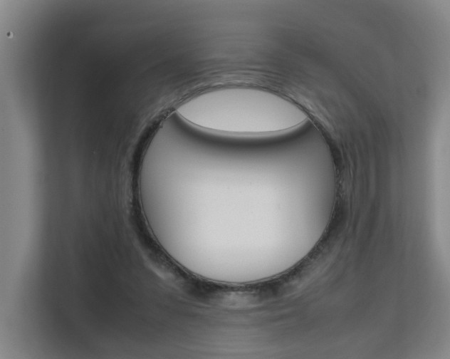 X0000112070303200908040956